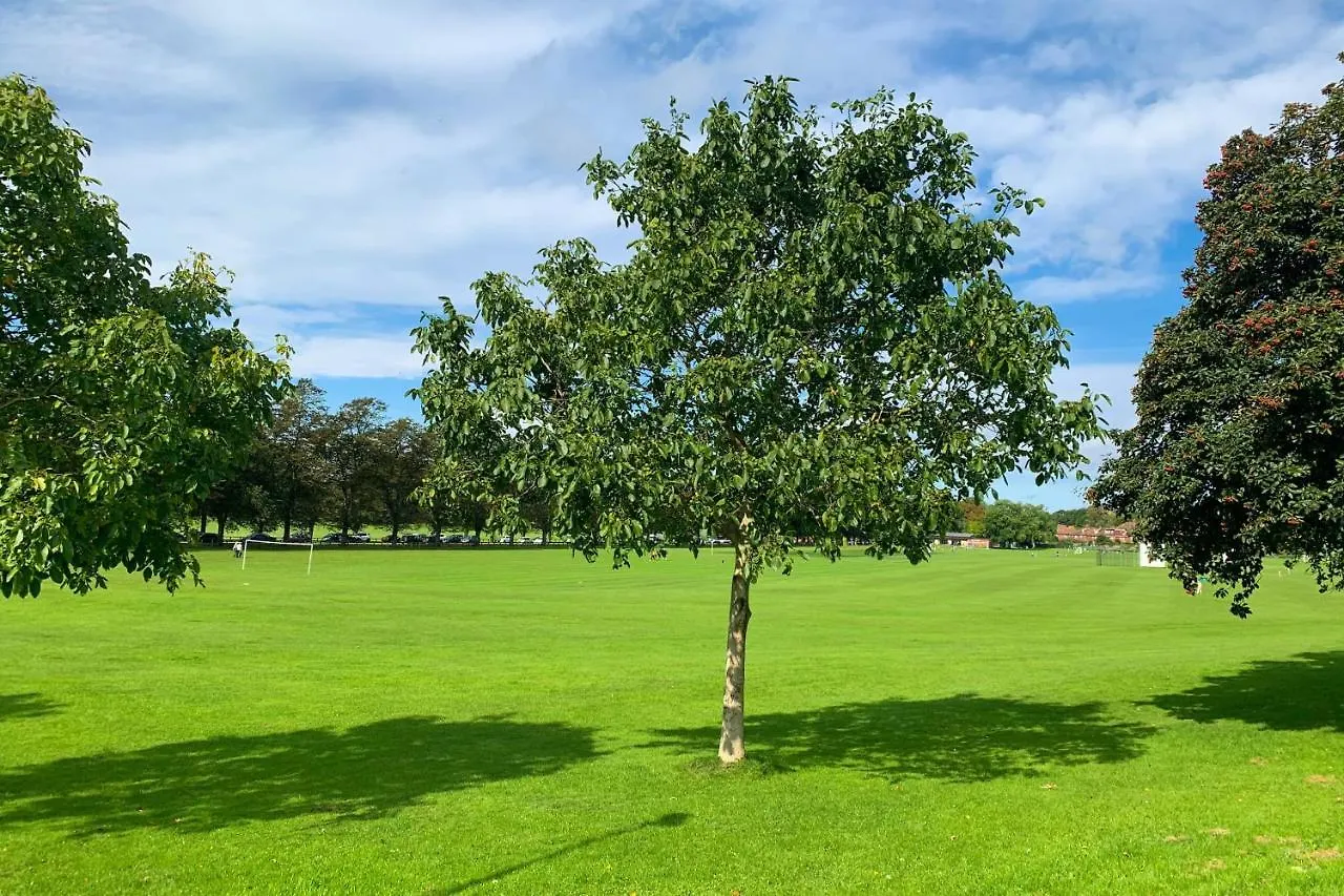 The Knavesmire - Quaint Victorian Home With Free Parking York Dom wakacyjny